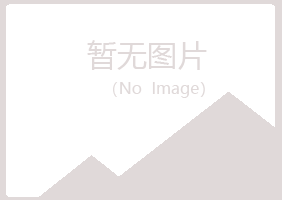 日照岚山夏日水泥有限公司